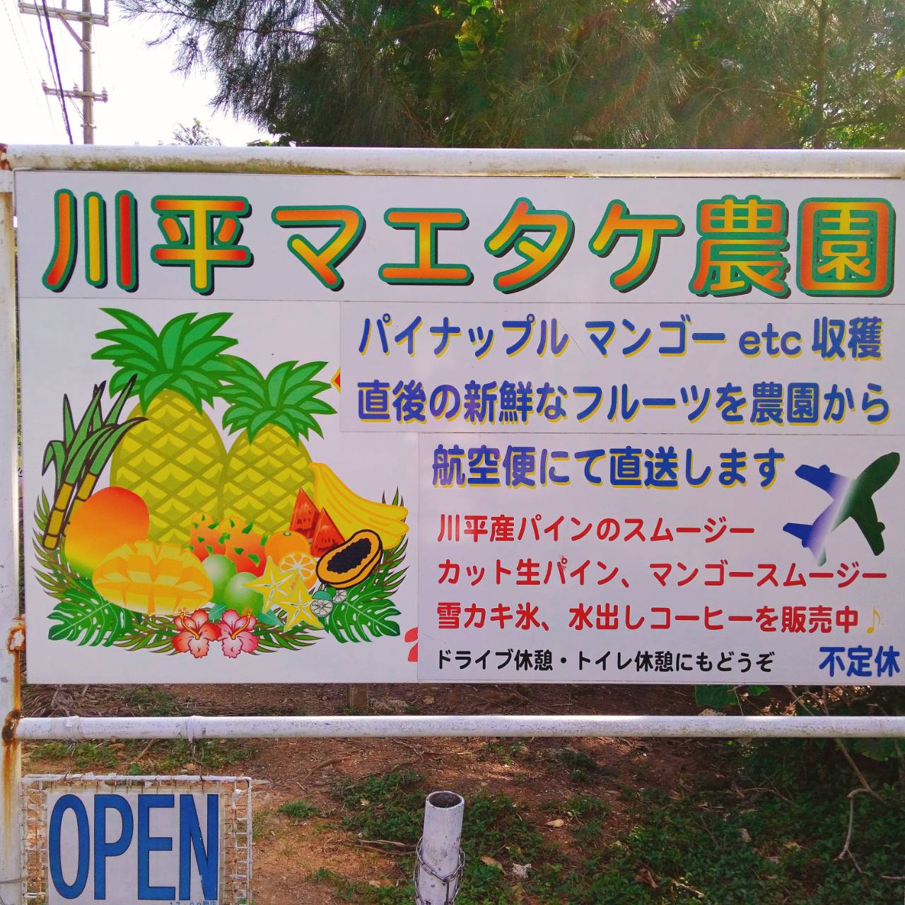 石垣島パインスムージー 川平マエタケ農園 島バナナも最高 自遊人夫婦のゆいまーるブログ