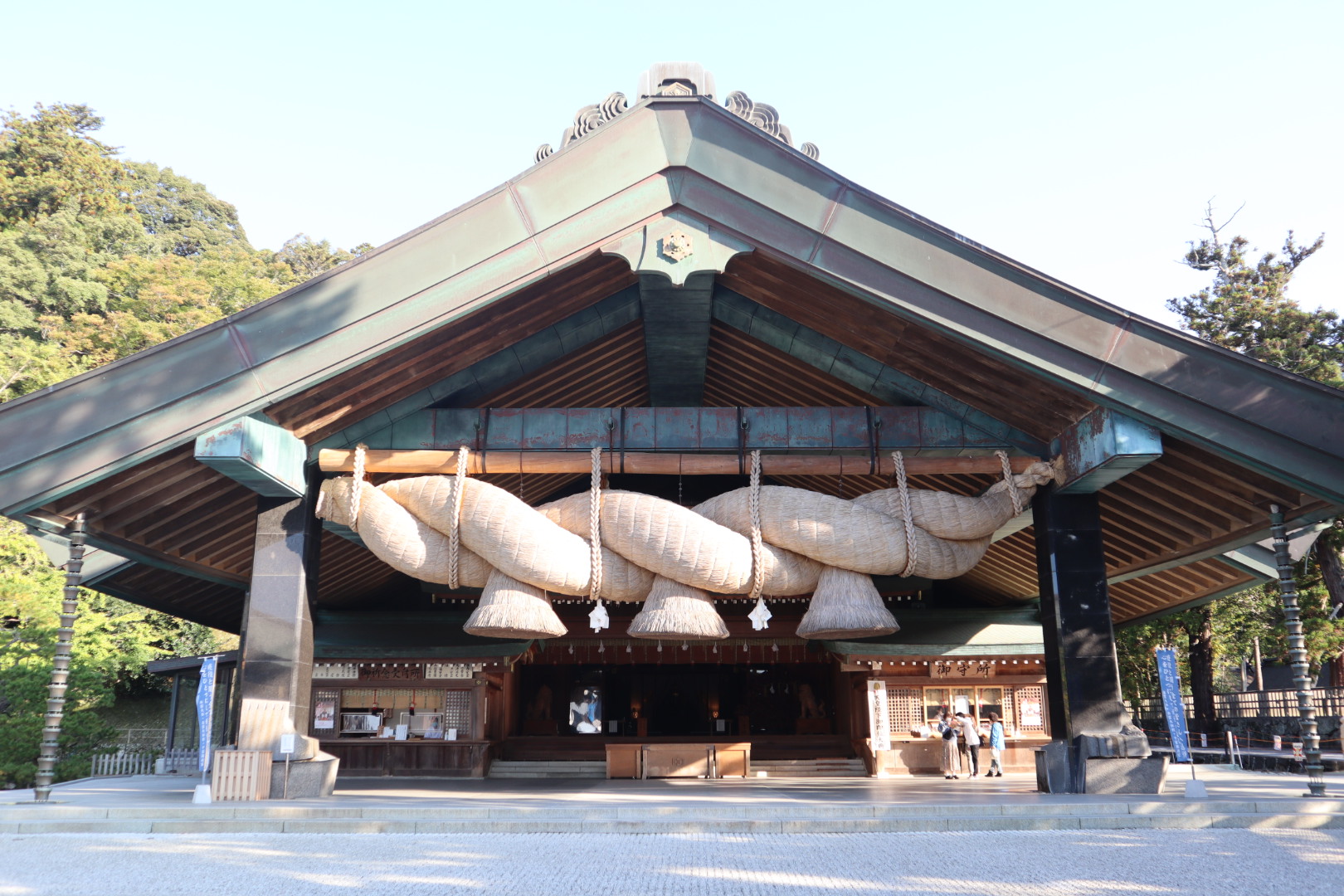 出雲大社の松ぼっくり